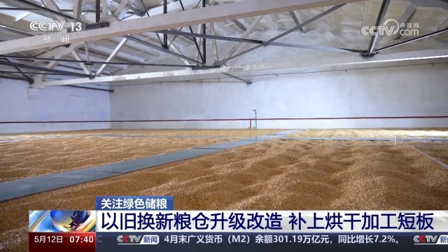 全国绿色储粮仓容超两亿吨 夯实粮食仓储能力,筑牢粮食安全.