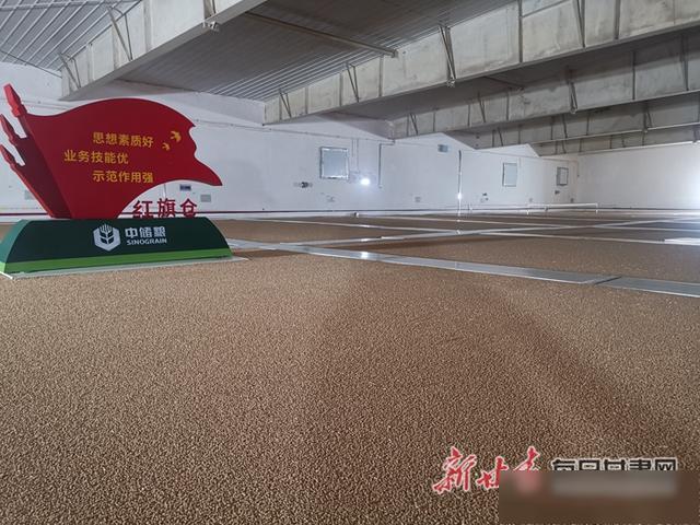 公众代表走进中储粮感受"大国粮仓"智能化储粮技术
