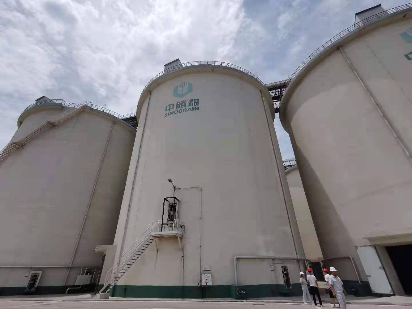 "国家粮仓"长啥样?中储粮举行媒体开放日,原来粮食也住在"空调房"里_
